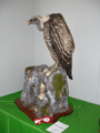 2010-gyps